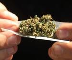 Marihuana FOTO: web Marihuana FOTO: web