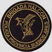 Distintivo del Grupo Halcón 