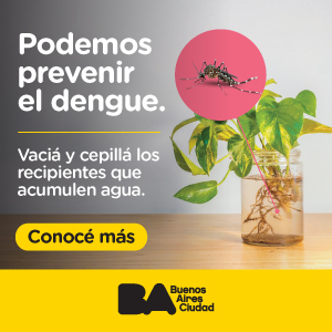 Dengue cuadrado