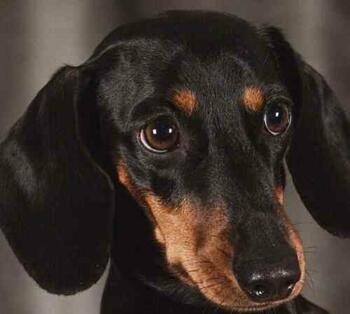 La foto tiene carácter ilustrativo FOTO: CMCABA