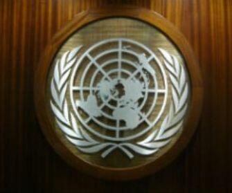  Organización de las Naciones Unidas FOTO: WEB