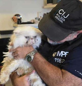 Rescate  FOTO: MPFCABA