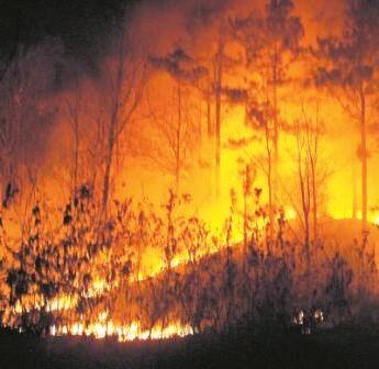 Incendio forestal FOTO: WEB Incendio forestal FOTO: WEB