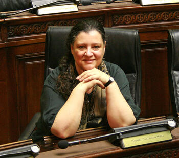 Legisladora Diana Maffia